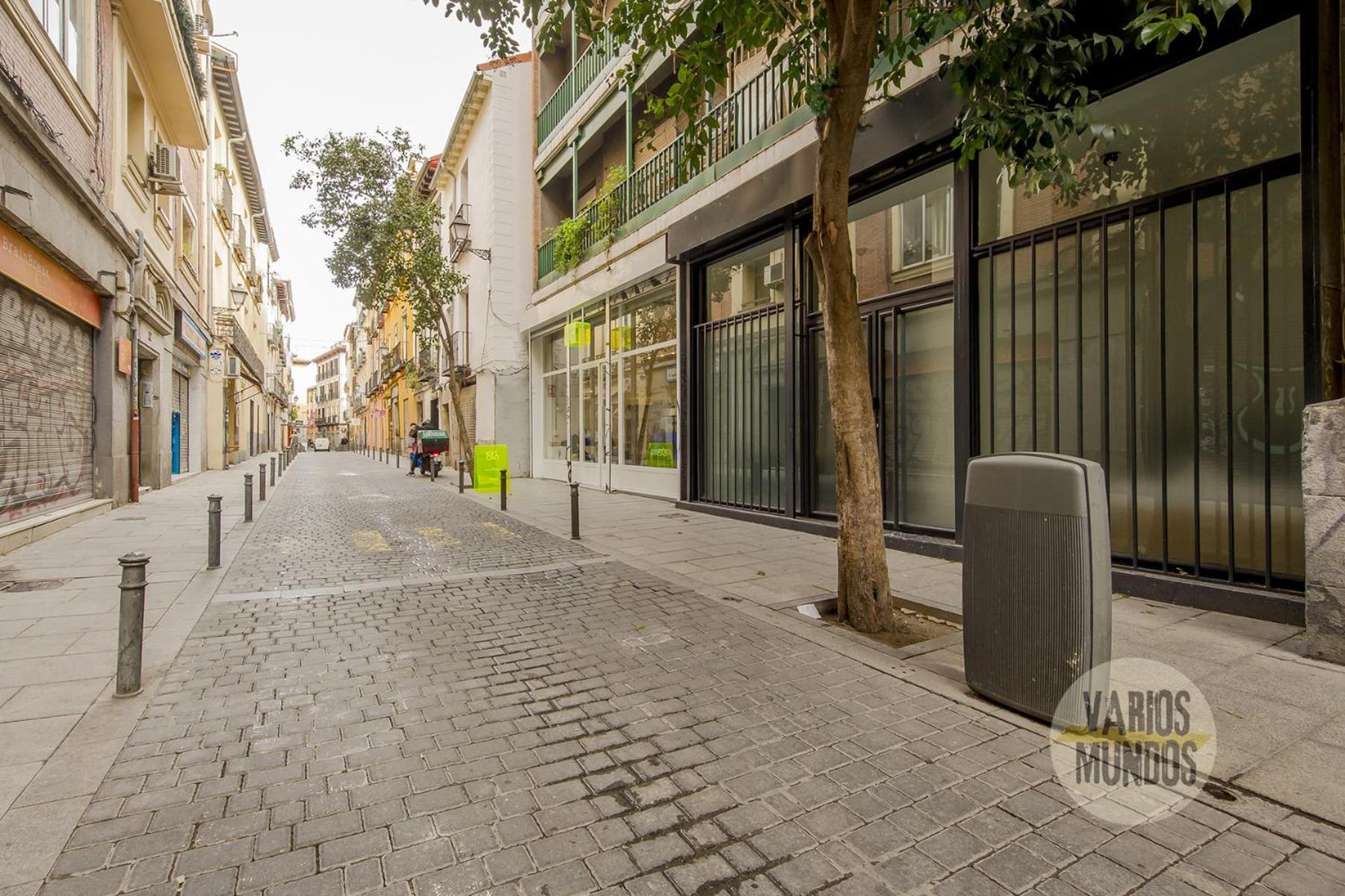 Central&modern 4hab 9p En La Latina Appartamento *