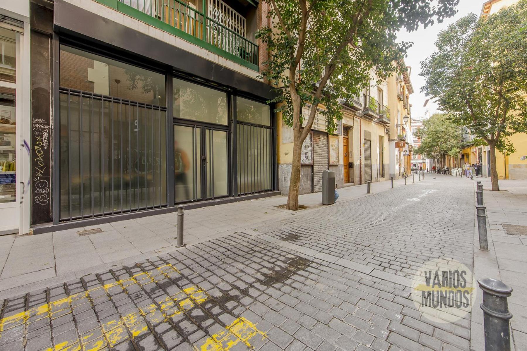 Appartement Central&modern 4hab 9p En La Latina Madrid